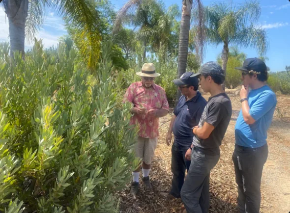 Ben leading growers through a mature Protea planting