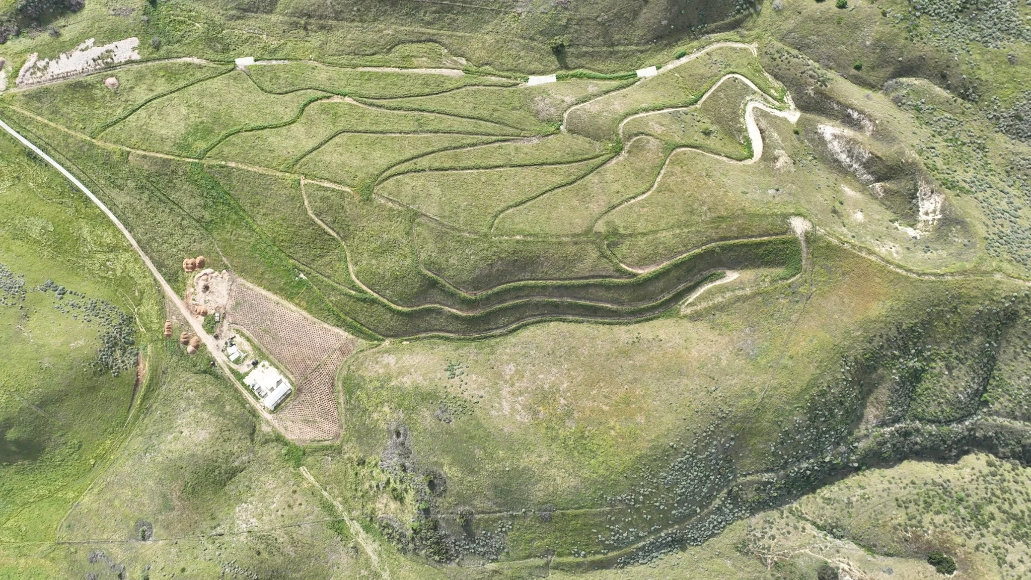 Aerial view of a developing Protea farm laid out across rolling green hills