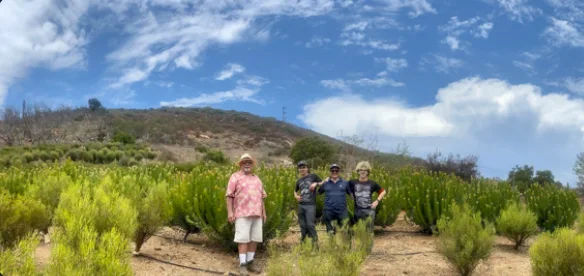 Ben standing with growers in an established Protea field