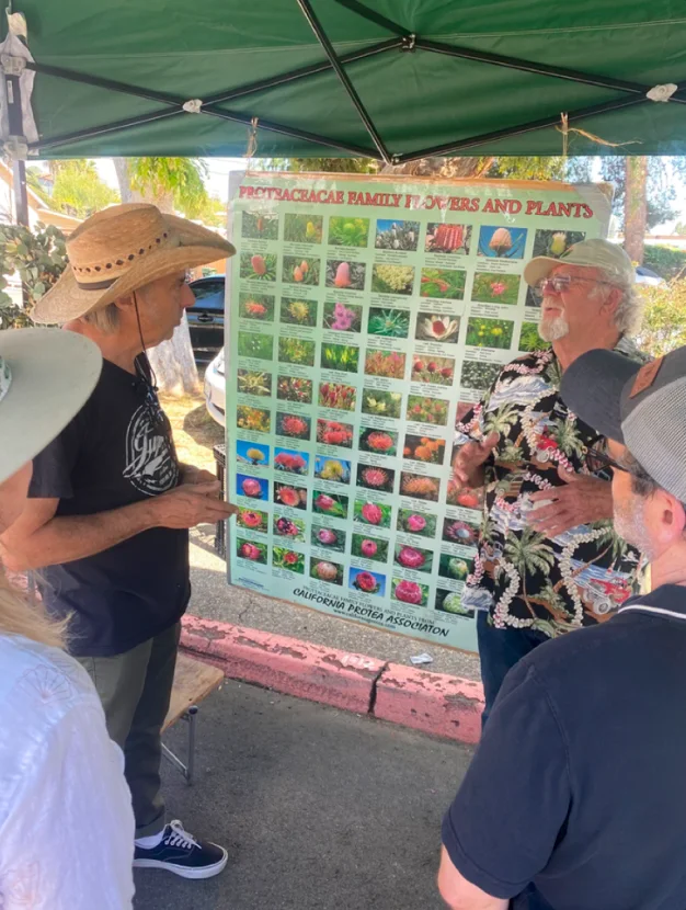 Ben explaining Proteaceae varieties to a group beside an educational display