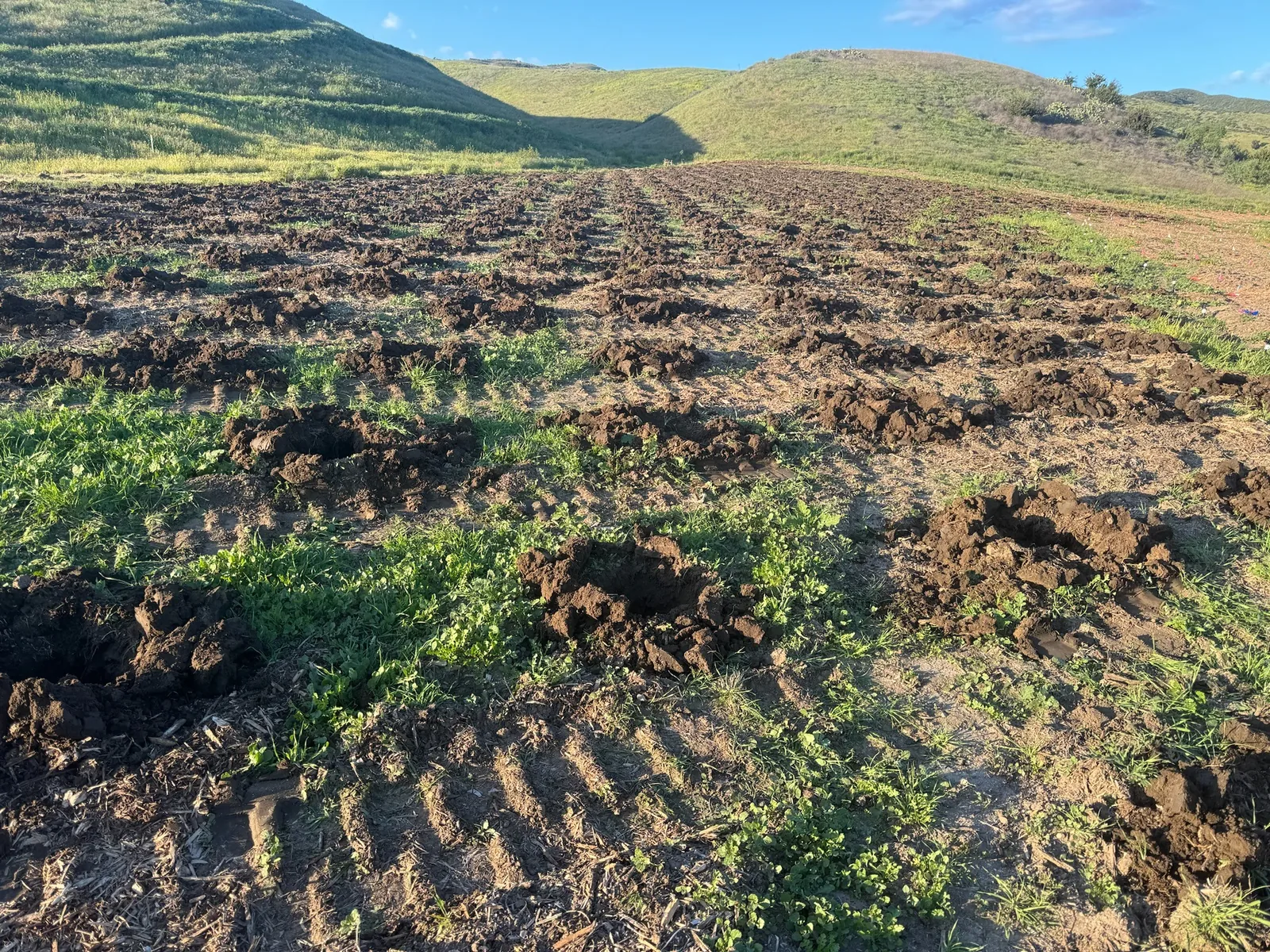 Freshly worked field soil before planting